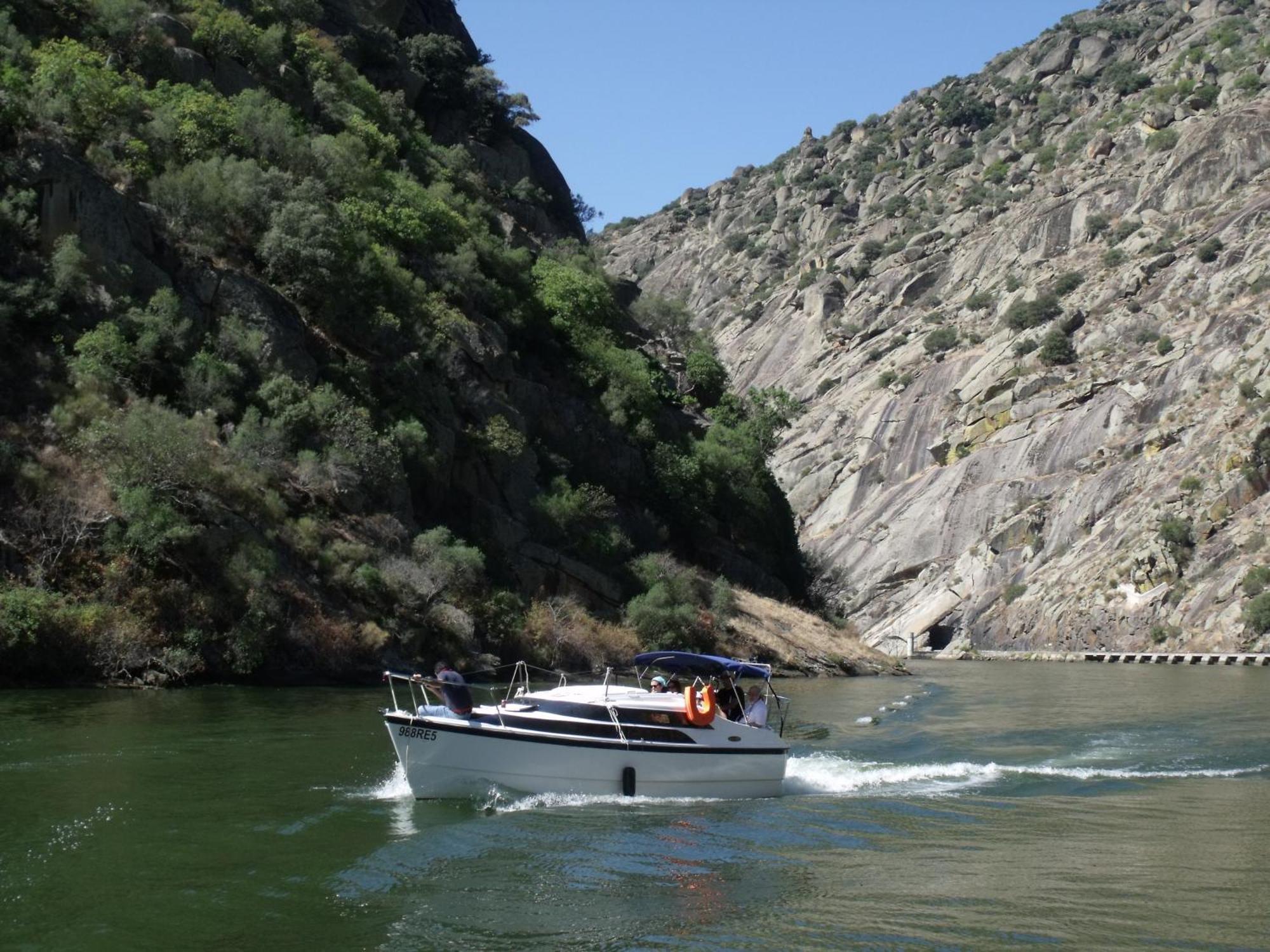 Douro Yacht Charter & Bungalows Сан-Жуан-да-Пешкейра Екстер'єр фото