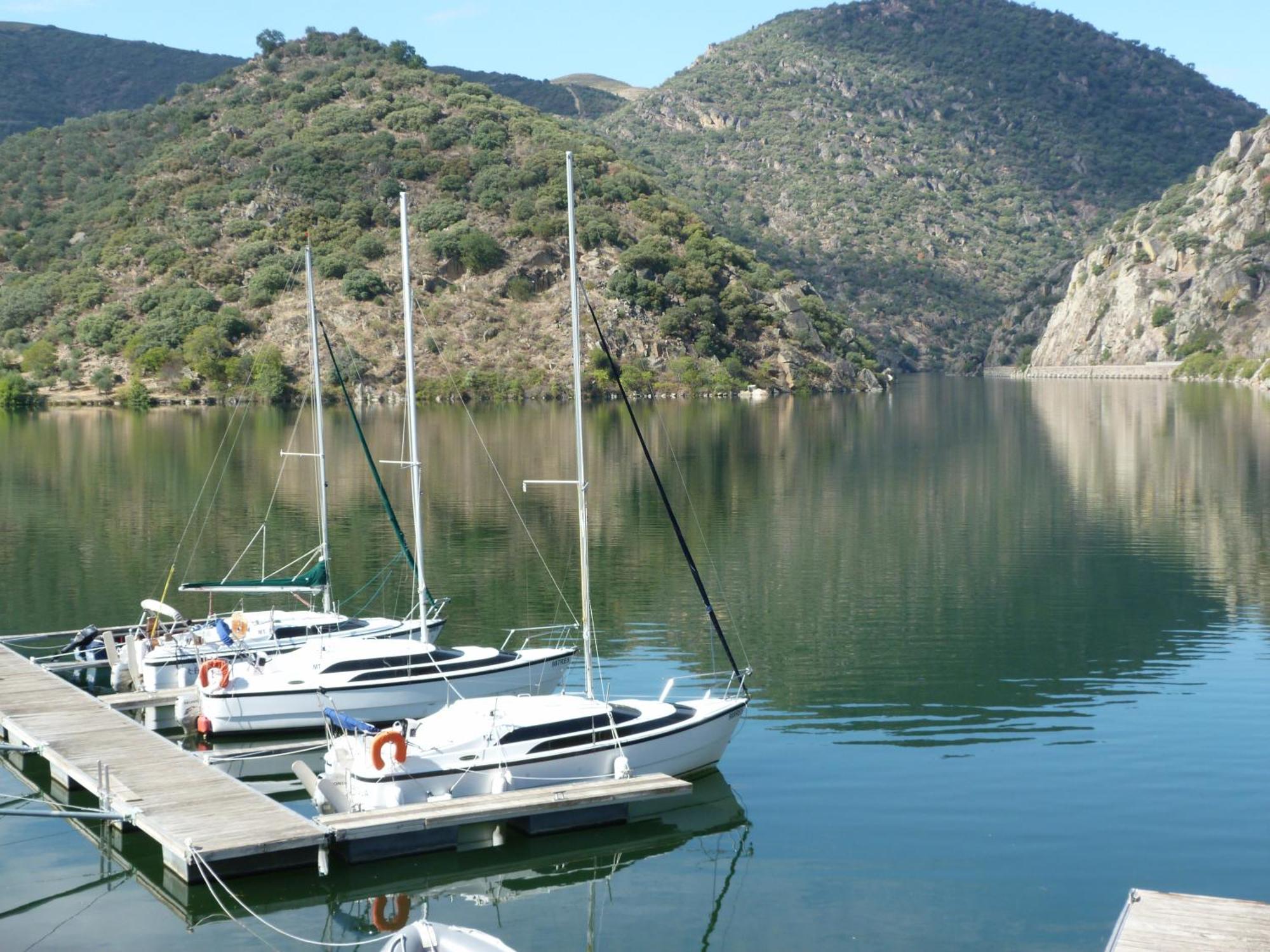 Douro Yacht Charter & Bungalows Сан-Жуан-да-Пешкейра Екстер'єр фото