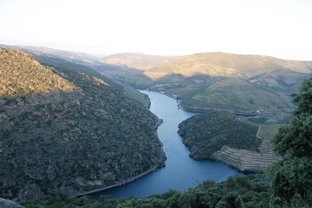 Douro Yacht Charter & Bungalows Сан-Жуан-да-Пешкейра Екстер'єр фото
