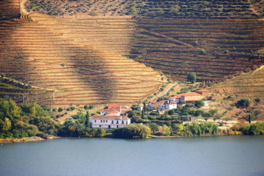 Douro Yacht Charter & Bungalows Сан-Жуан-да-Пешкейра Екстер'єр фото