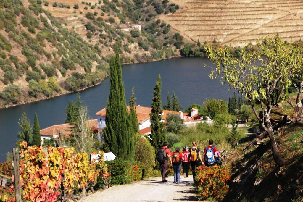Douro Yacht Charter & Bungalows Сан-Жуан-да-Пешкейра Екстер'єр фото