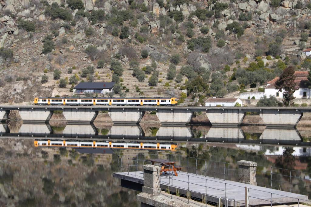 Douro Yacht Charter & Bungalows Сан-Жуан-да-Пешкейра Екстер'єр фото