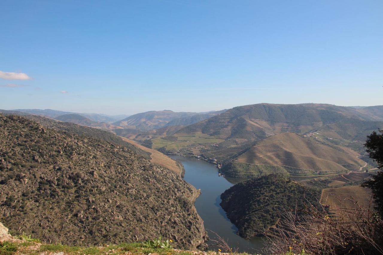 Douro Yacht Charter & Bungalows Сан-Жуан-да-Пешкейра Екстер'єр фото